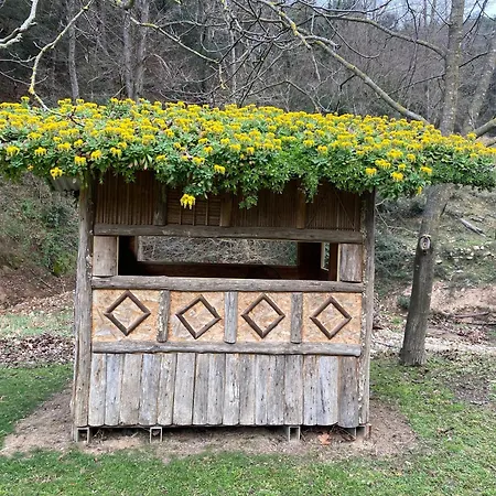 Casa di campagna Masia El Moli De Aulet Arbúcies