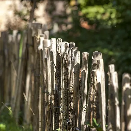 Masia El Moli De Aulet Casa di campagna